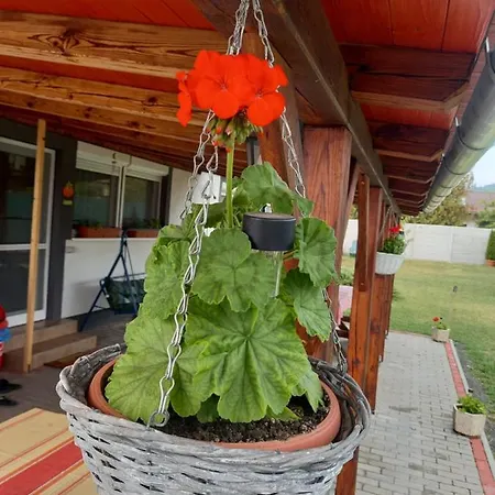 Gæstehus Jucus Vendeghaz